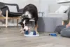 Tårn Aktivits Spil Til Hunde
