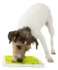 Slikkeplade Til Hunde