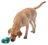 Roly Poly Snackæg Til Hunde