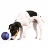 Snack Bolde Til Hunde