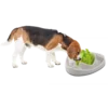Hunde Aktivering Med Slow Foder