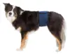 Hanhunde Mavebælte