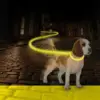 Led Hundesnor