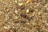JR Farm Hamstersmovs 600g