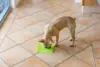 Lickimat Buddy Grøn Hunde Slikmåtte