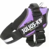 Julius K9 Sele