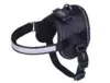 Harness Sele