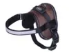 Harness Sele