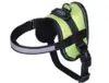 Harness Sele