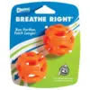 Chuckit Breathe Right Fetch Bolde 2 pk