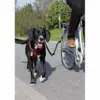 Biker Sæt