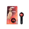 Active Canis Lys
