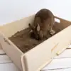 Bunny Nature Gravesand Mix 9,7kg