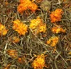 JR Blomstereng 100g