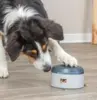 Hunde Activity Buzzer