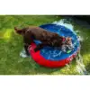 Hunde pool 120*30cm