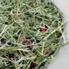 Bunny Nature FreshGrass Hø – med hyben (500g)