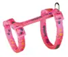 One Size Kattesele