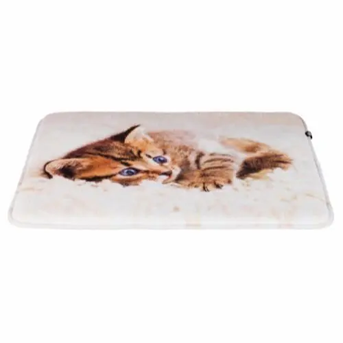 Ligge Måtte Med Kat På
