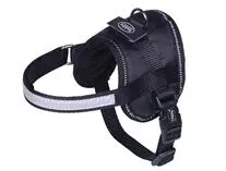 Harness Sele