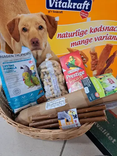 Rest Kasser Til Papegøje