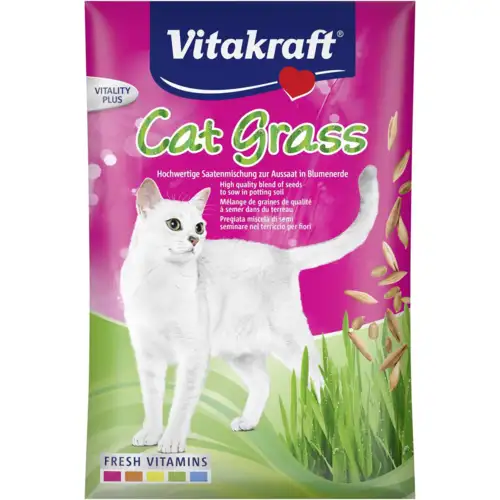 Kat græs Frø 50gram