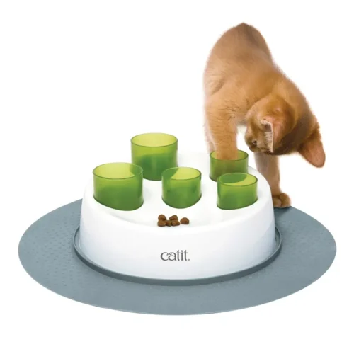 Aktivering Til Kat