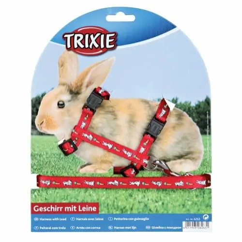 Kaninsele Med Motiv