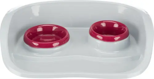Skål Sæt Plast